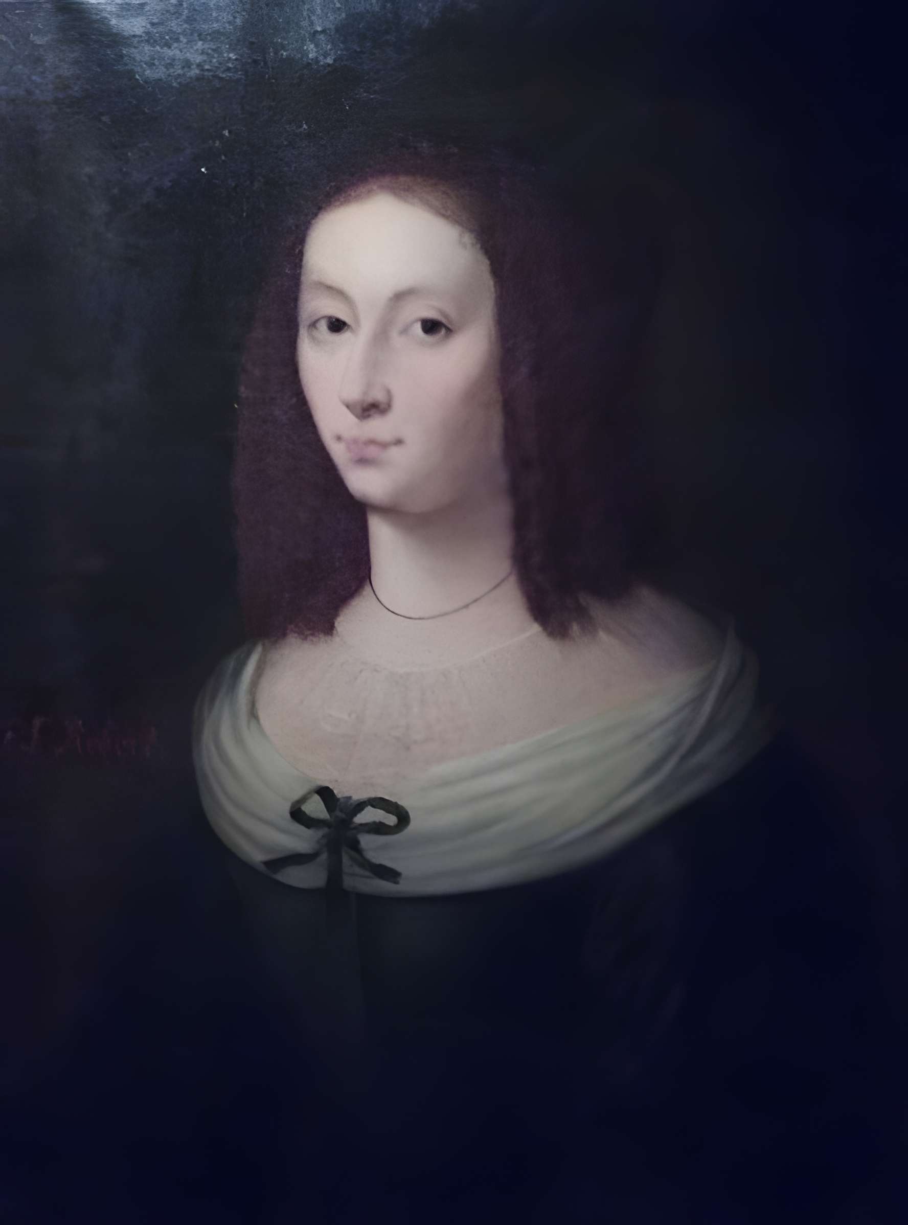 Hôtel du Fraisse du Cheix à Riom