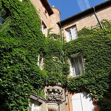 Hôtel Felzins à Toulouse 