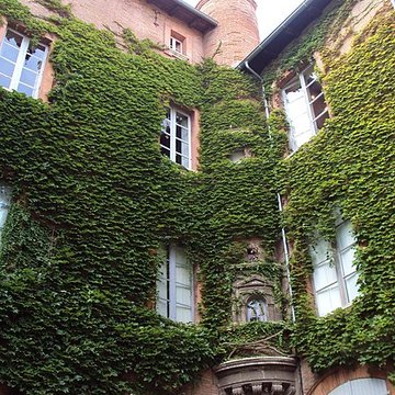 Hôtel Felzins à Toulouse 