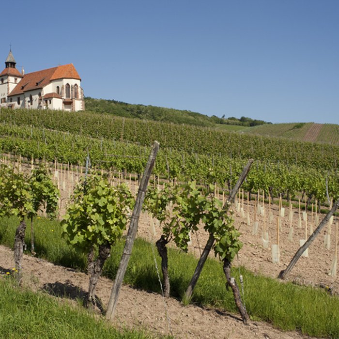 Photo de Chapelle Saint-Sébastien de Dambach-la-Ville