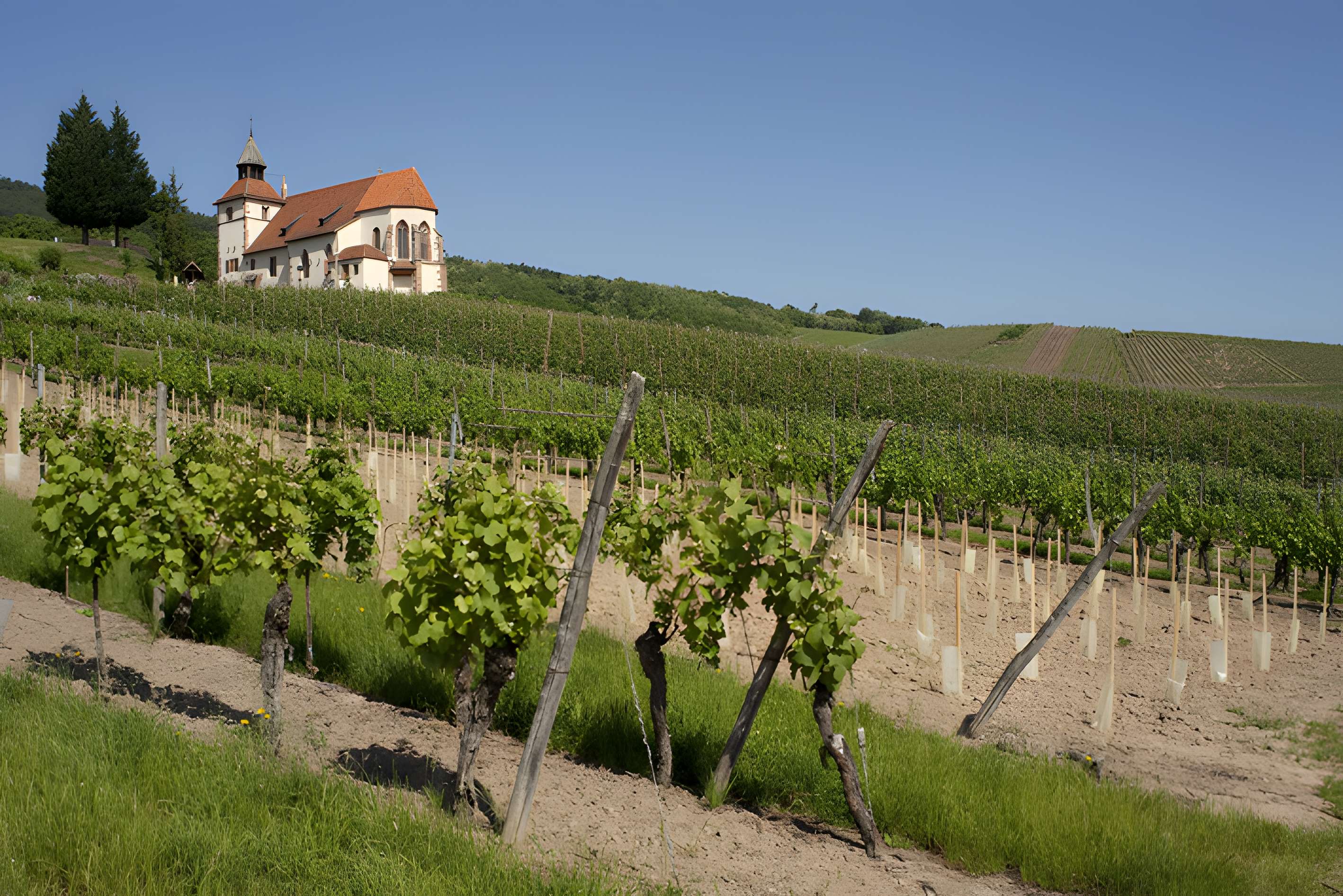 Chapelle Saint-Sébastien de Dambach-la-Ville