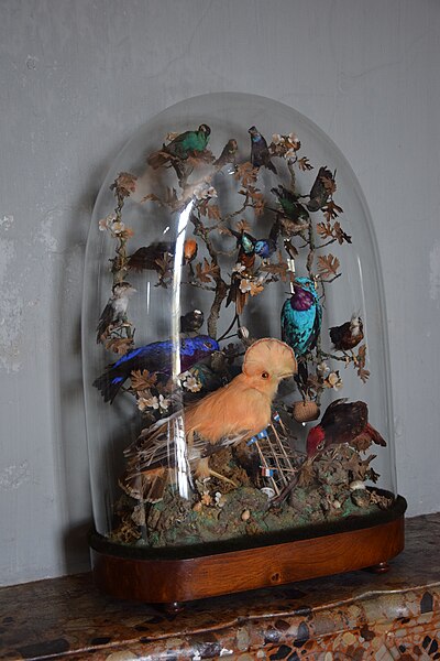 Hôtel Monconseil à Saintes