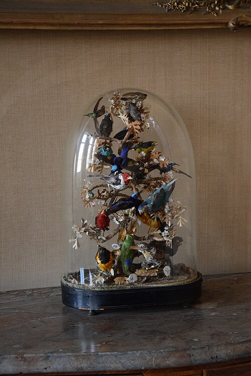 Hôtel Monconseil à Saintes