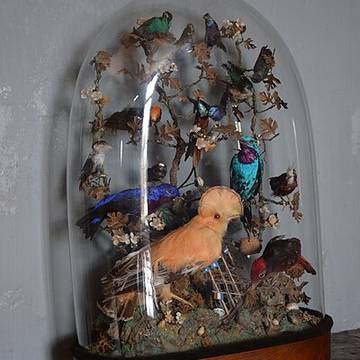 Hôtel Monconseil à Saintes