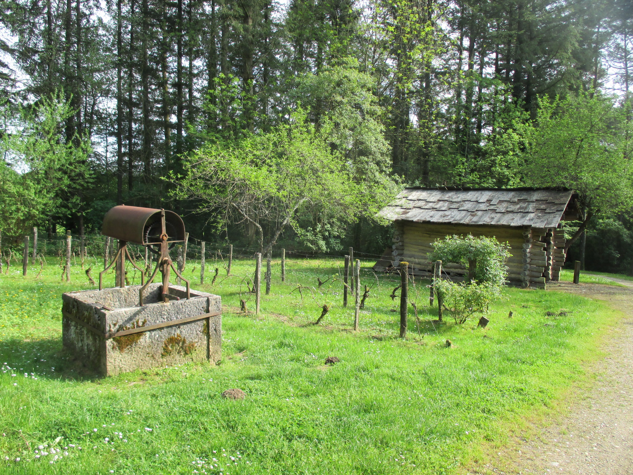 Borne-colonne N°1 de la forêt de Chaux à Belmont