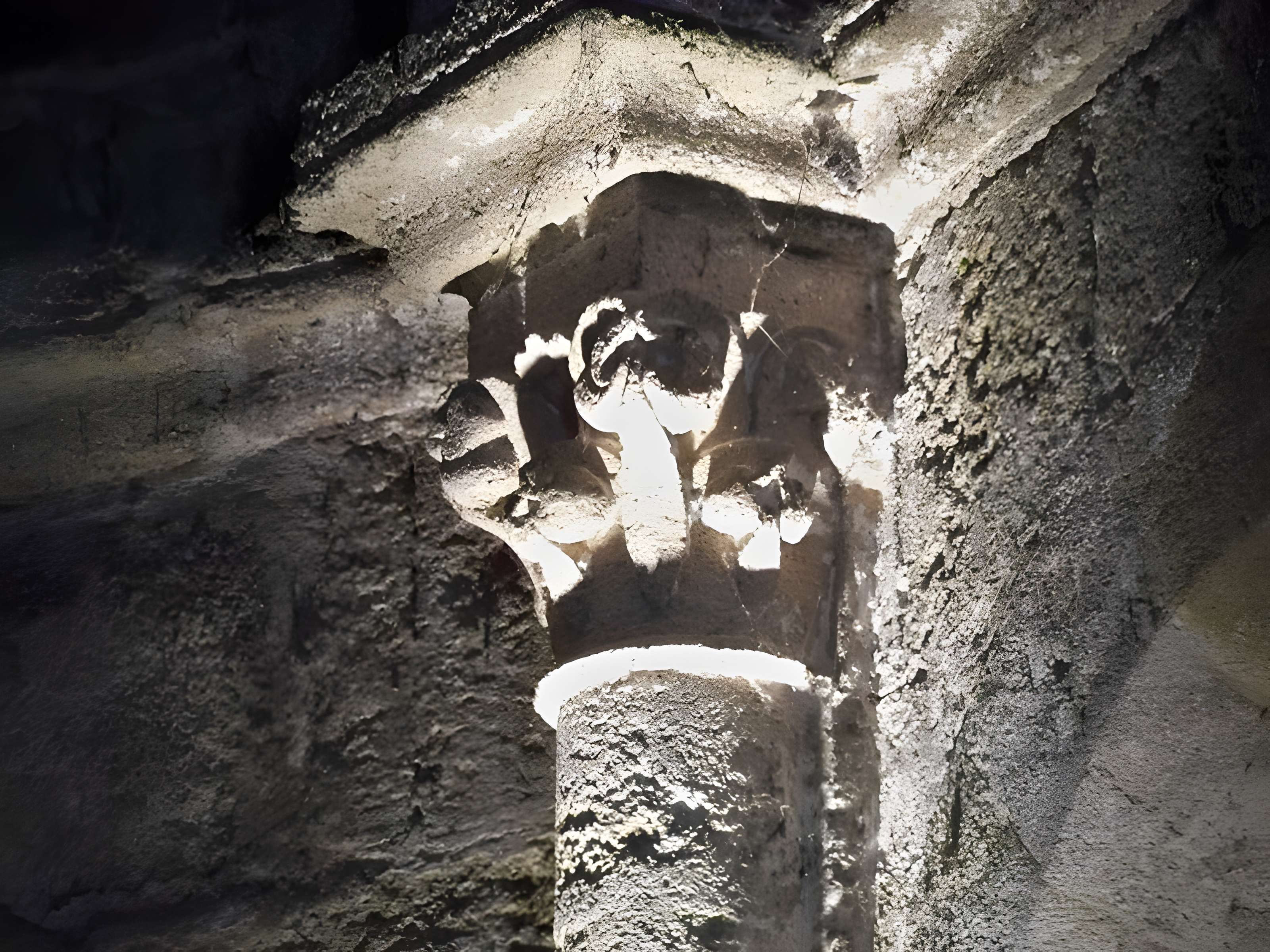 Chartreuse de Bonpas