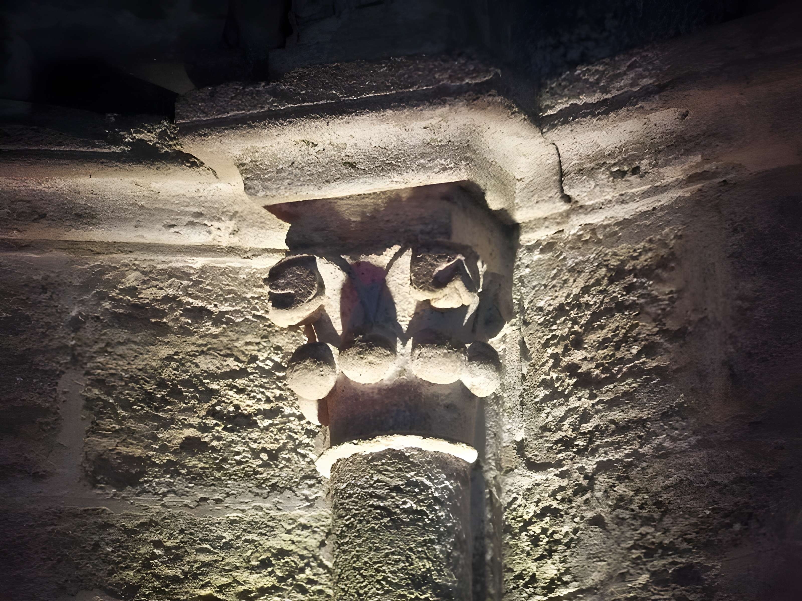 Chartreuse de Bonpas