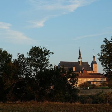 Chartreuse de Bosserville