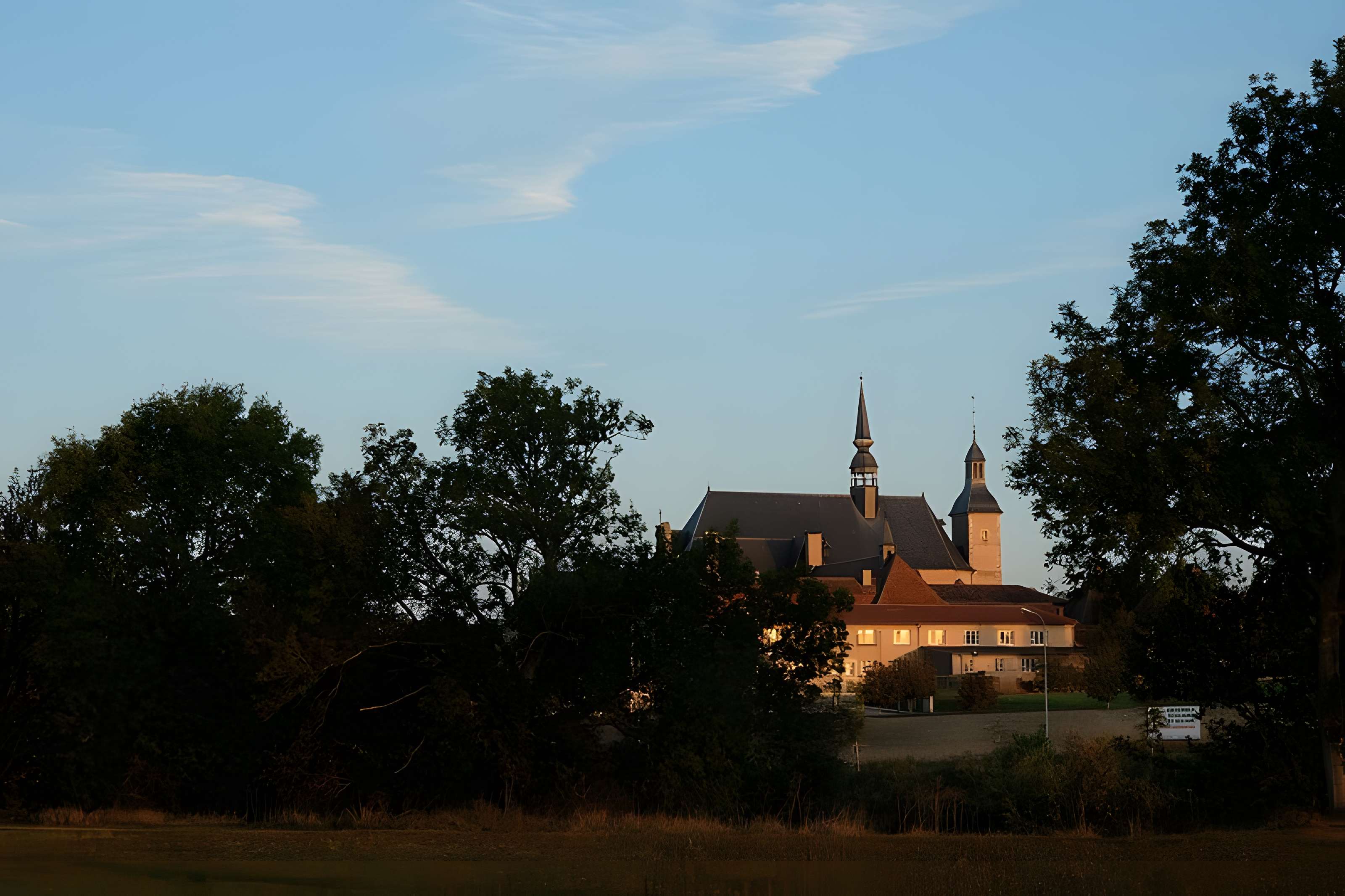 Chartreuse de Bosserville