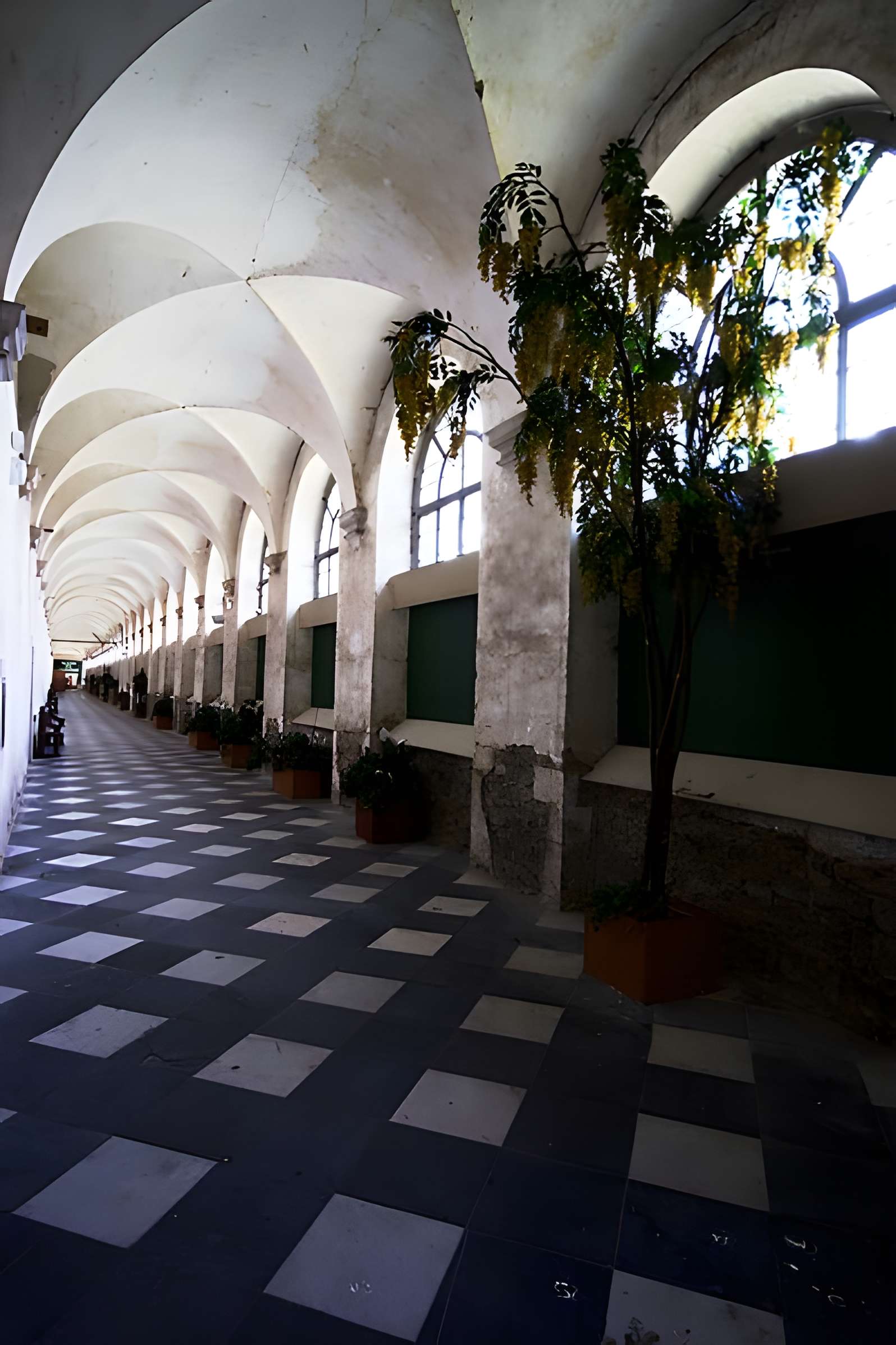 Chartreuse de Bosserville