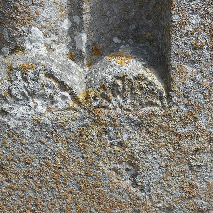 Photo de Chartreuse de Lugny