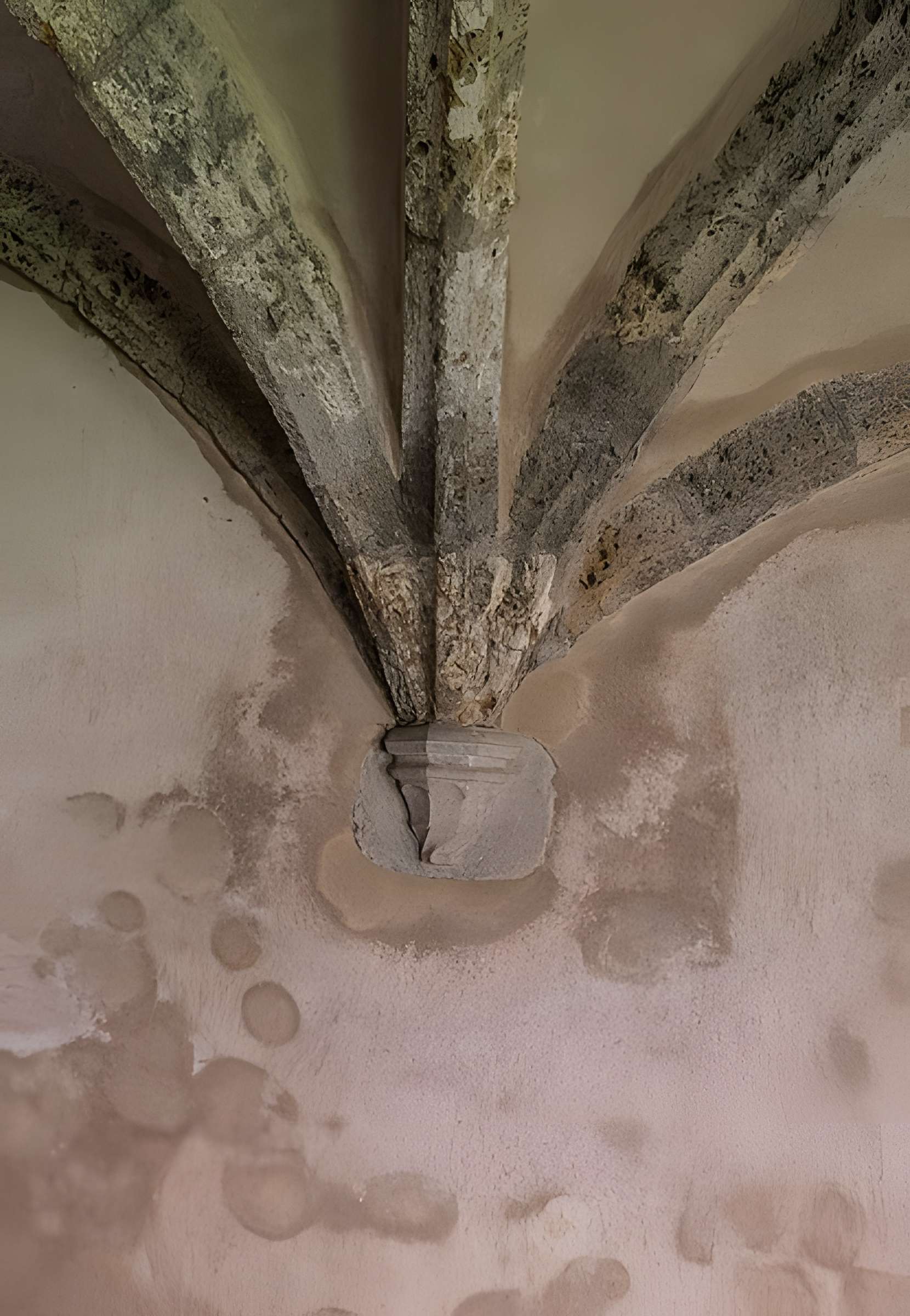 Chartreuse de Mélan