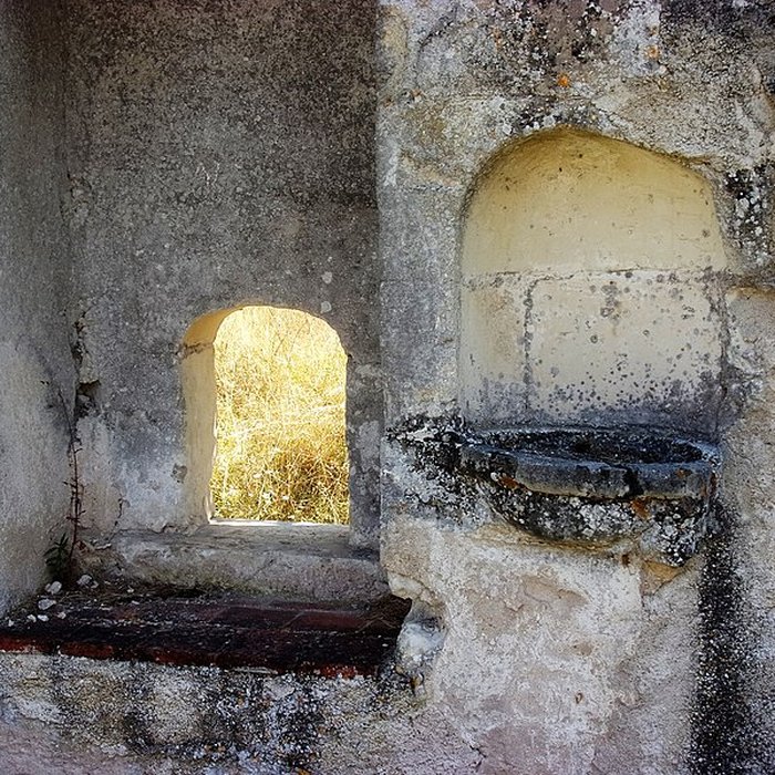 Photo de Chartreuse du Liget