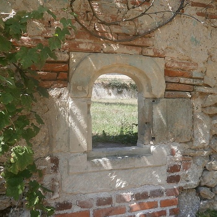 Photo de Chartreuse du Liget