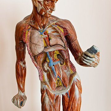 Hôtel-Dieu de Rouen