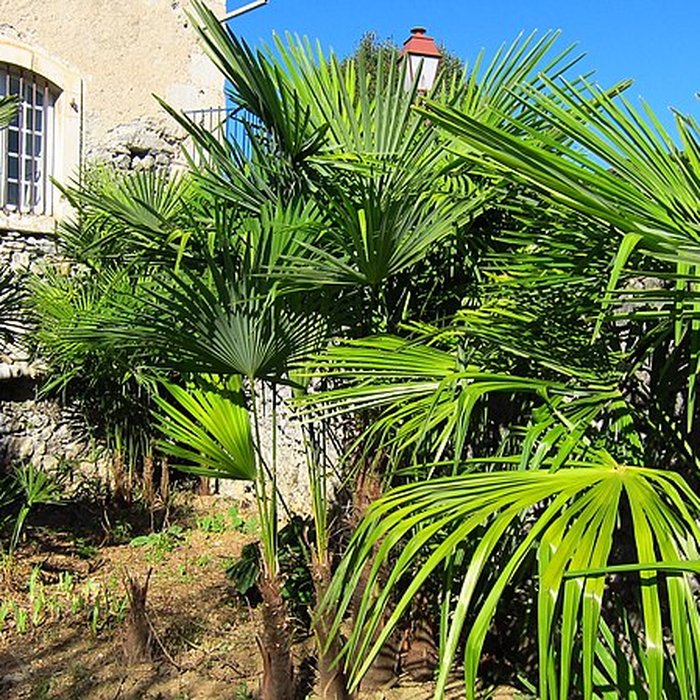 Photo de Hôtel-Dieu de Saint-Lizier