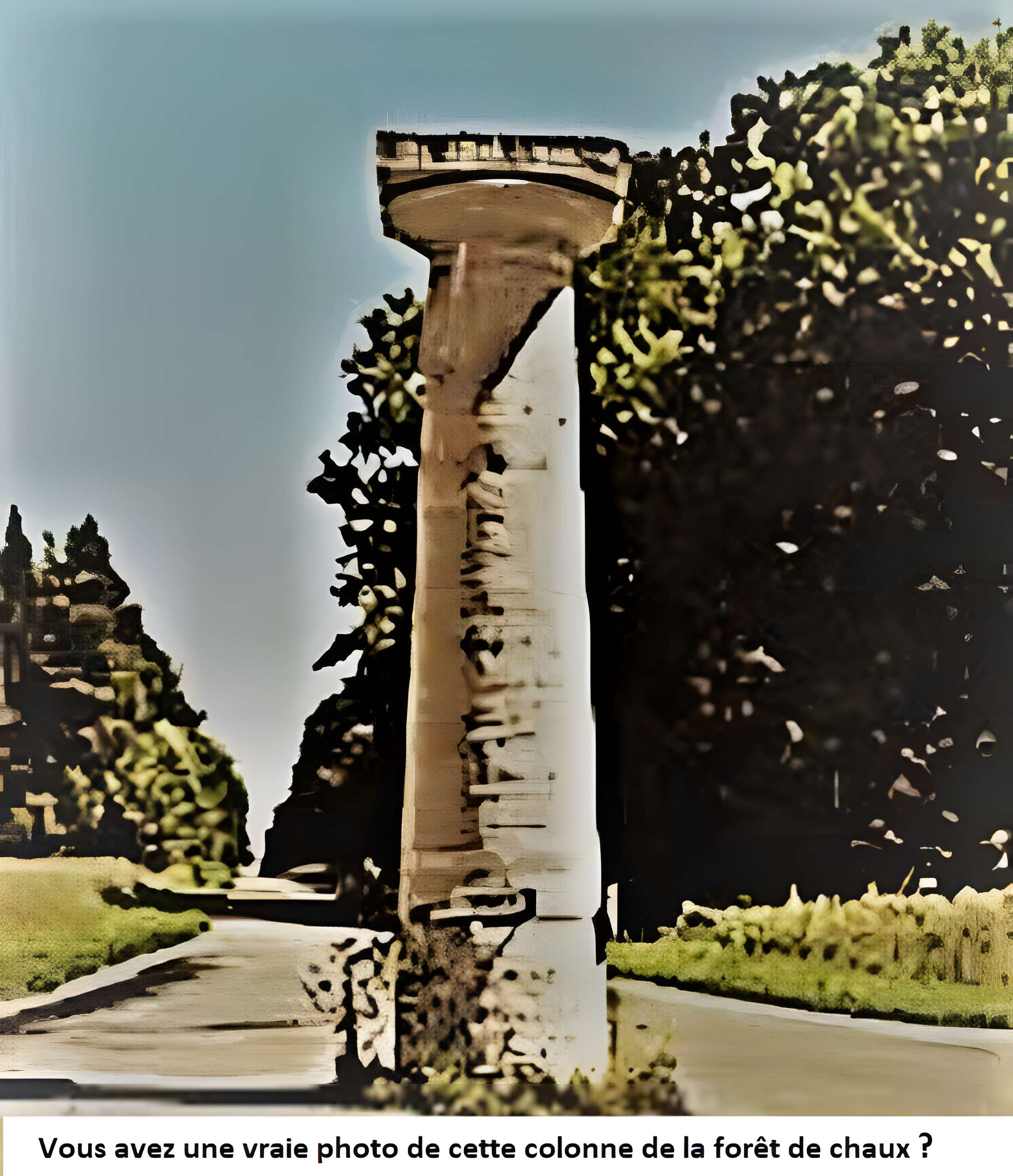 Borne-colonne N°2 de la forêt de Chaux à Augerans 
