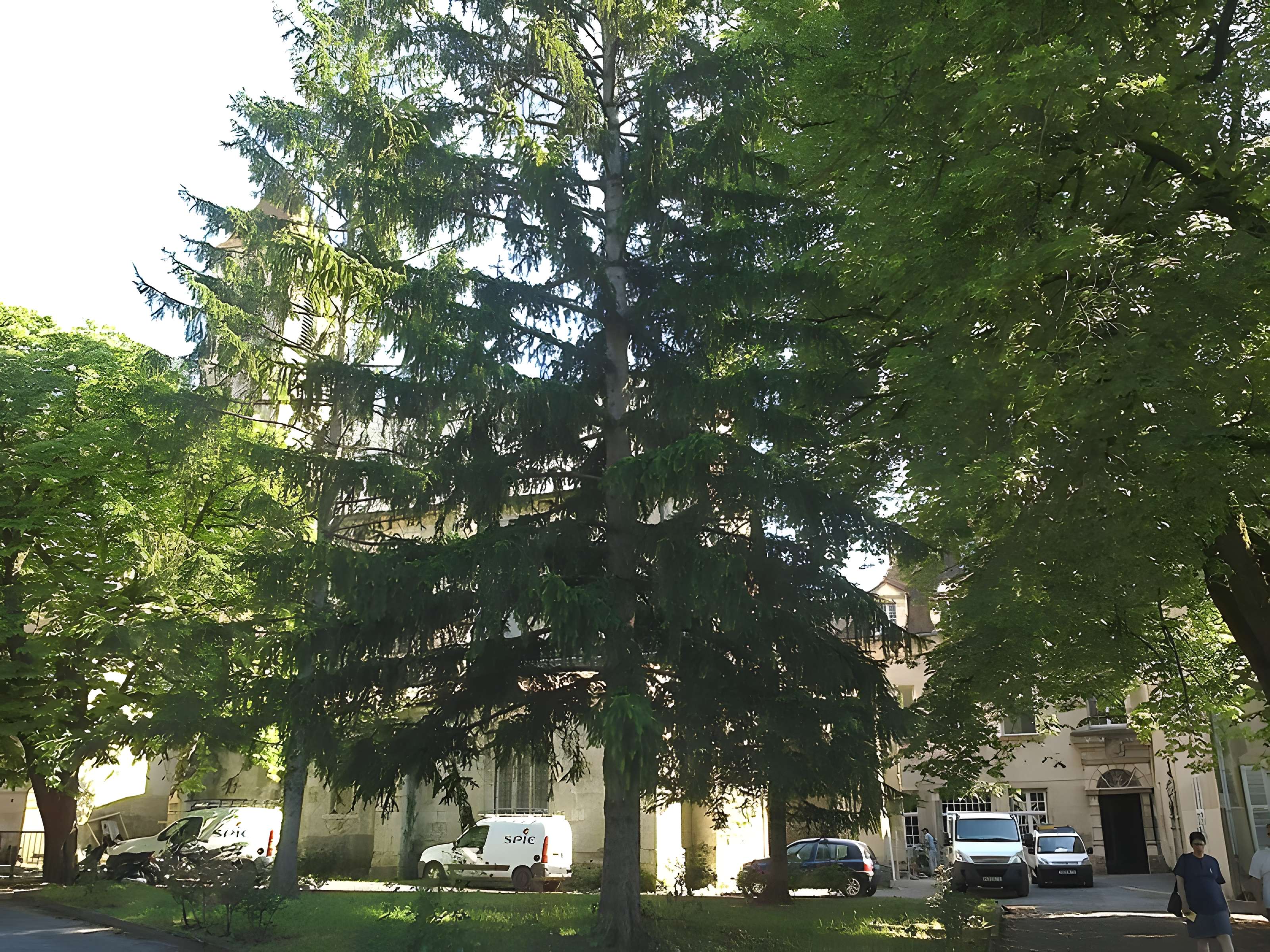 Chartreuse Saint-Sauveur