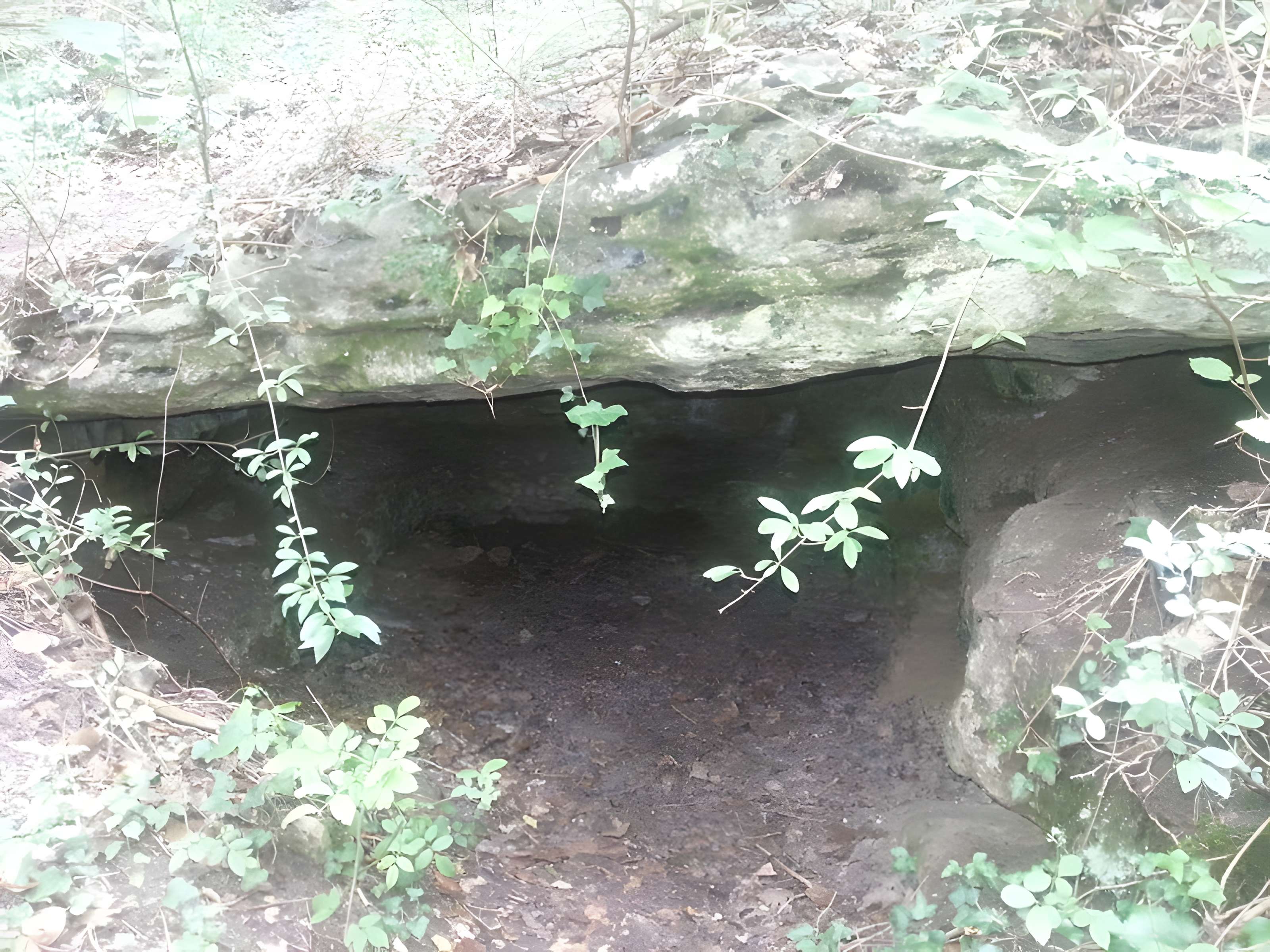 Hypogée à vestibule néolithique de Parmain 
