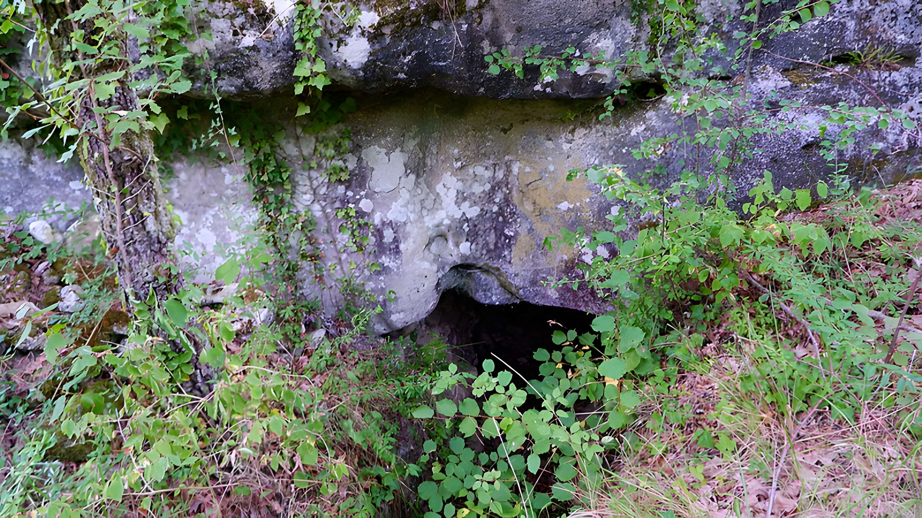 Hypogée de la Fontaine Saint-Léger de Buno-Bonnevaux