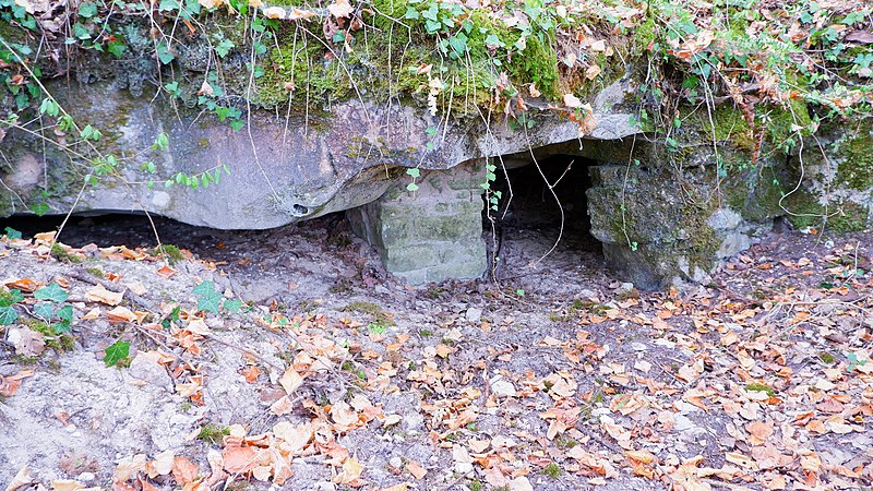 Photo de Hypogée du Champtier des Bureaux à Buno-Bonnevaux
