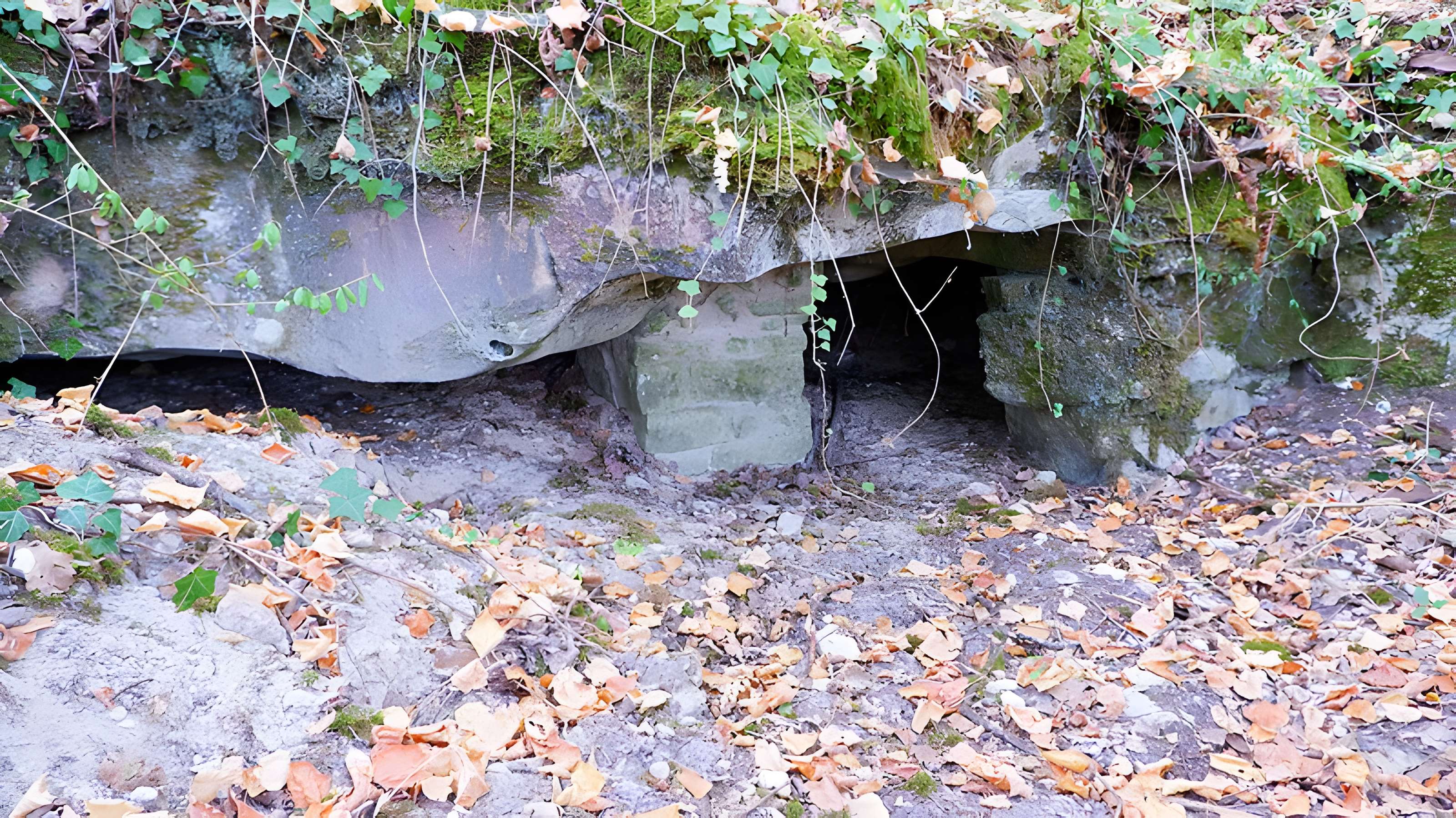 Hypogée du Champtier des Bureaux à Buno-Bonnevaux