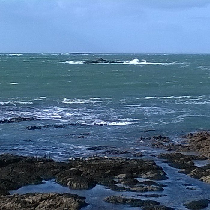 Photo de Île Thinic