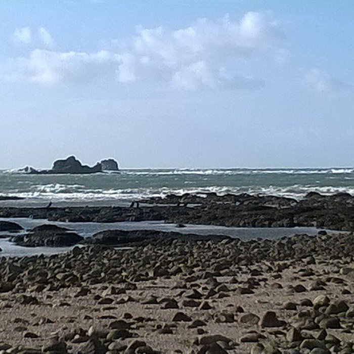 Photo de Île Thinic