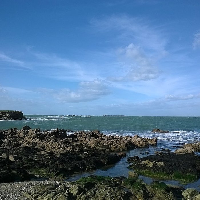 Photo de Île Thinic
