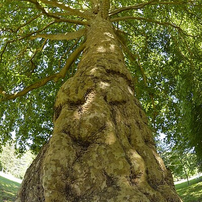 Photo de Château dAcquigny