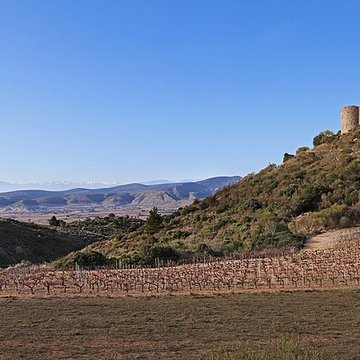 Ensemble des vestiges du château dAguilar