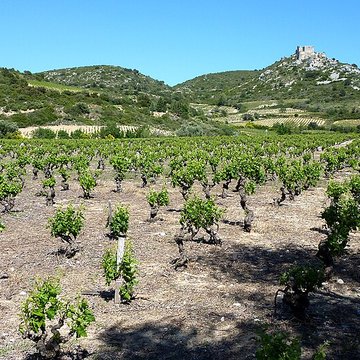 Ensemble des vestiges du château dAguilar