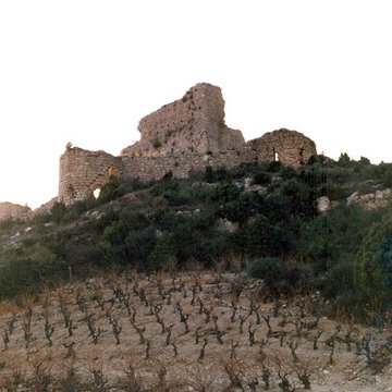 Ensemble des vestiges du château dAguilar