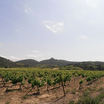 Ensemble des vestiges du château dAguilar