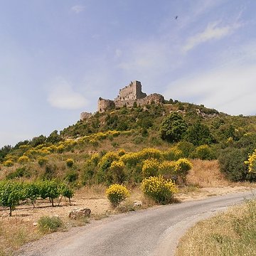 Ensemble des vestiges du château dAguilar