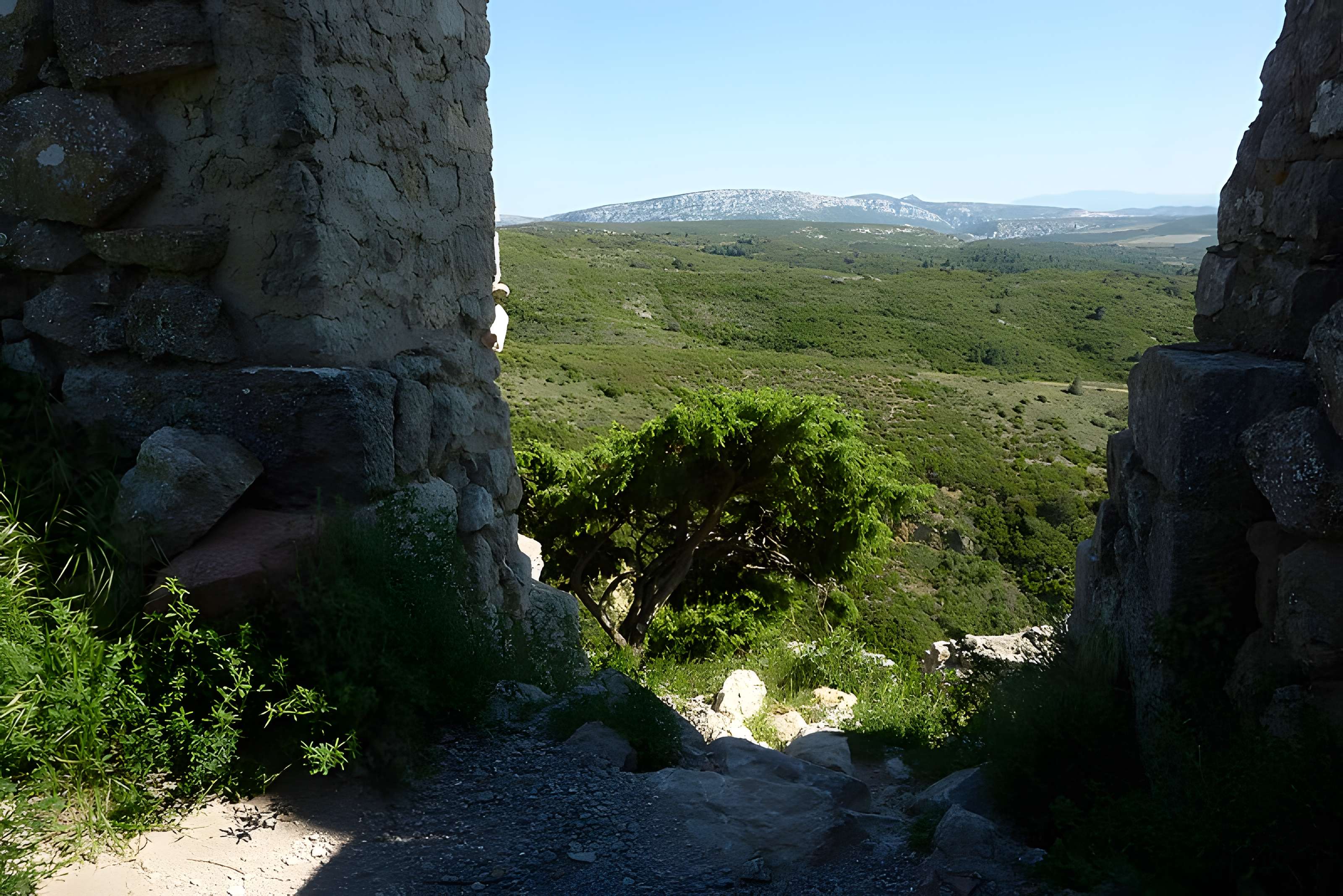 Ensemble des vestiges du château d'Aguilar
