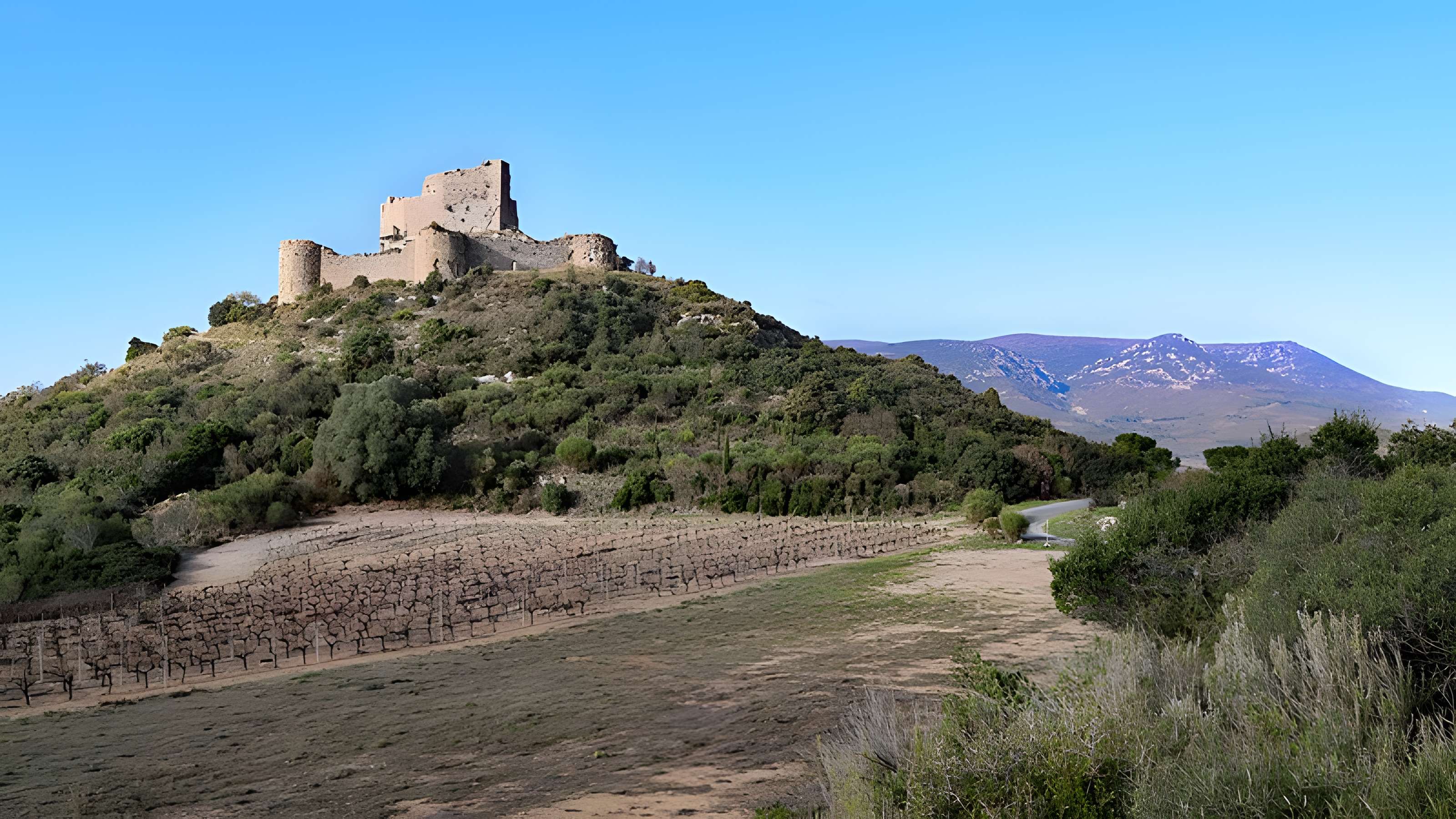 Ensemble des vestiges du château d'Aguilar