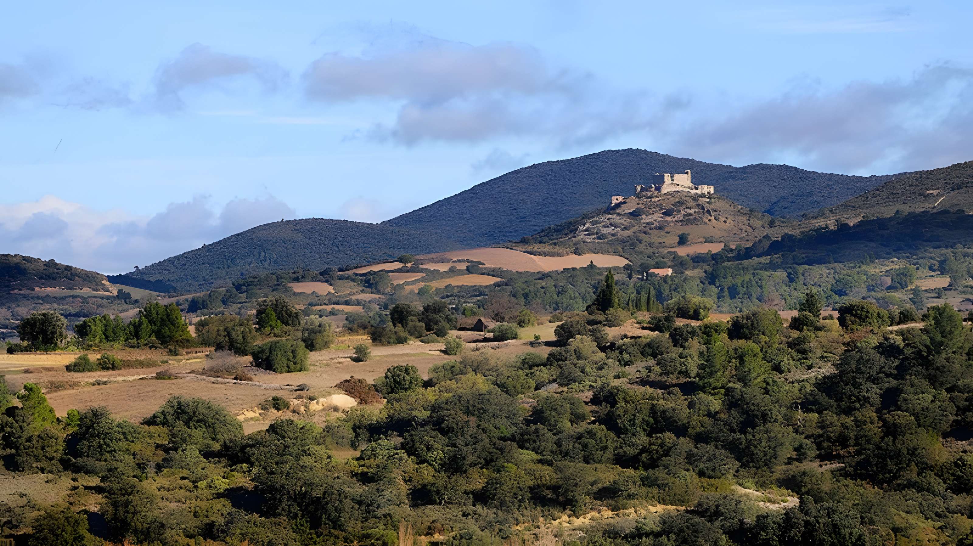 Ensemble des vestiges du château d'Aguilar