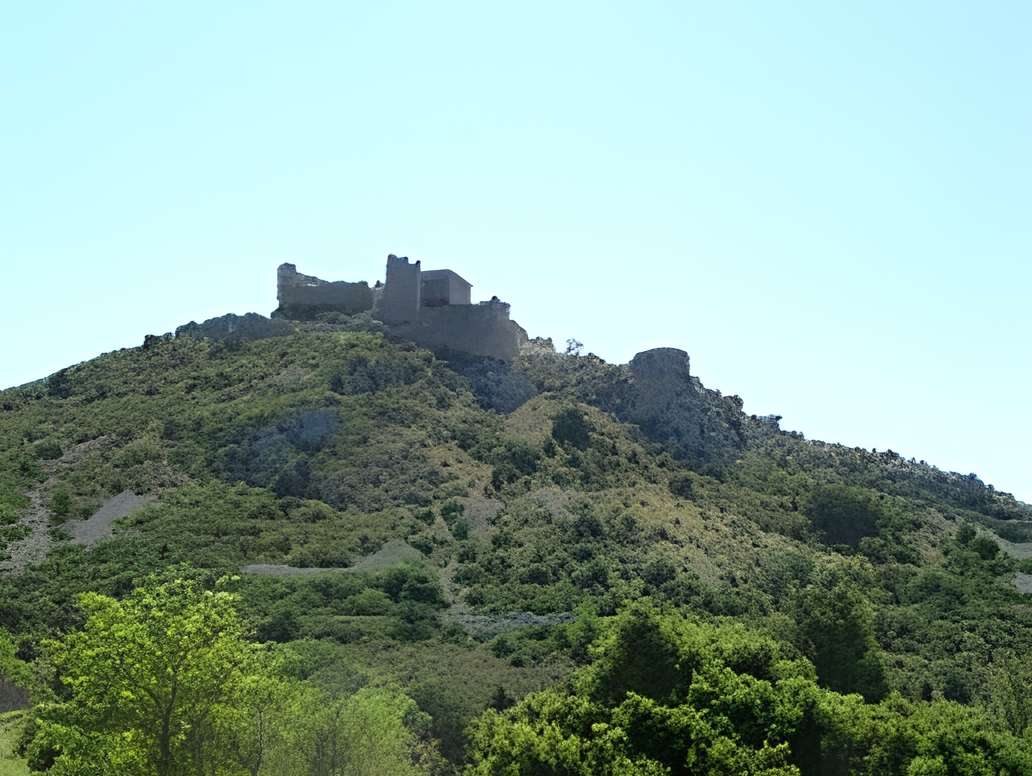 Ensemble des vestiges du château d'Aguilar