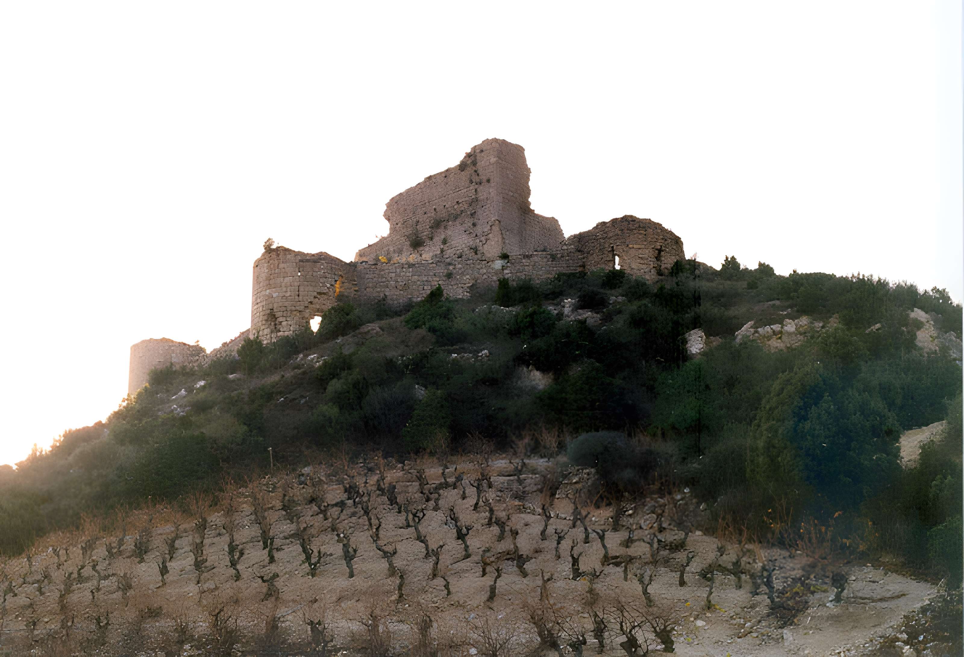 Ensemble des vestiges du château d'Aguilar