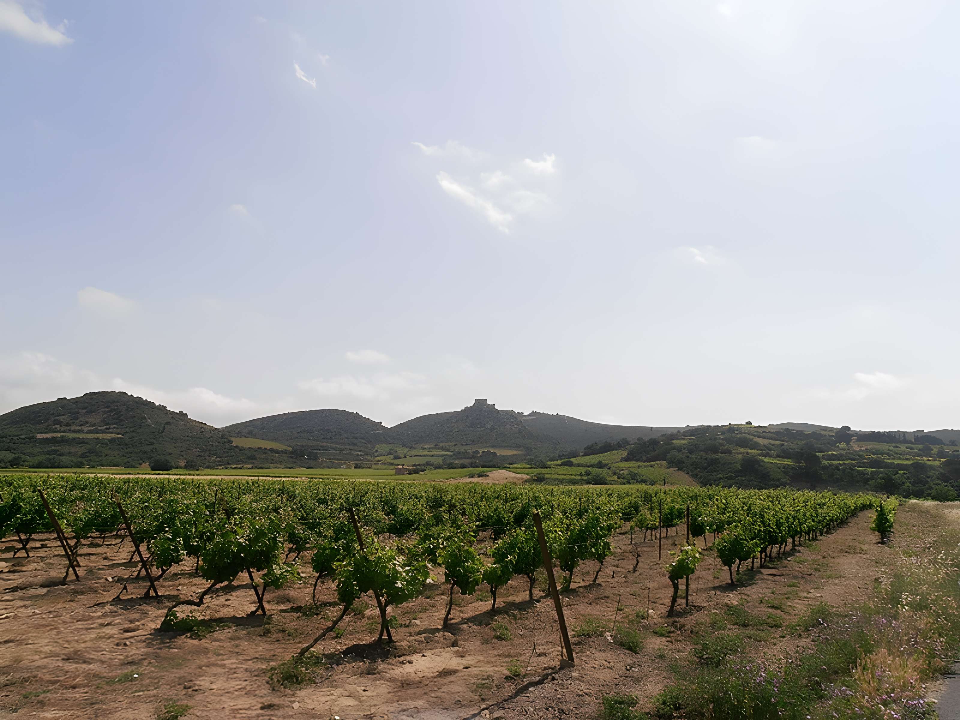 Ensemble des vestiges du château d'Aguilar