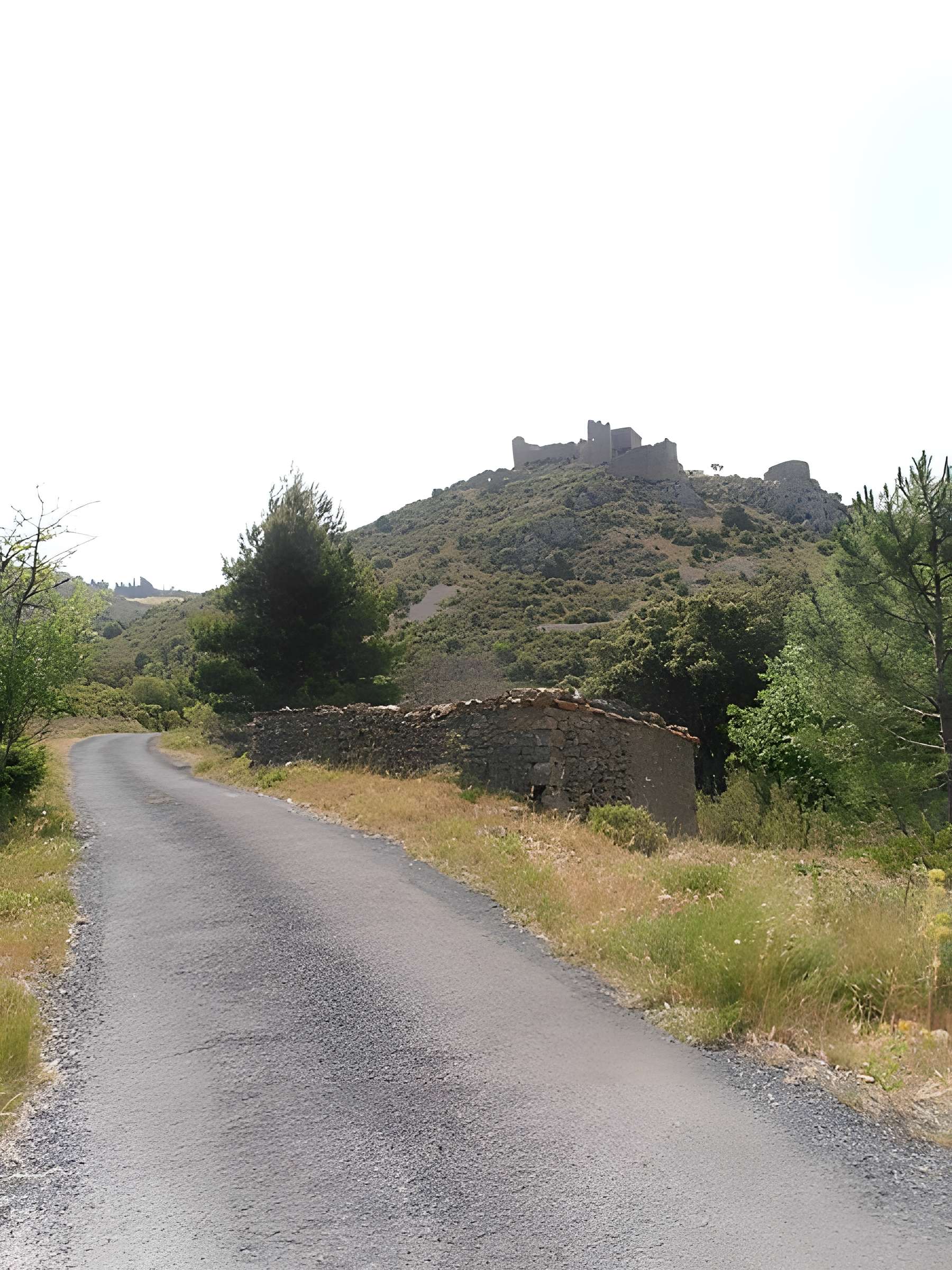 Ensemble des vestiges du château d'Aguilar