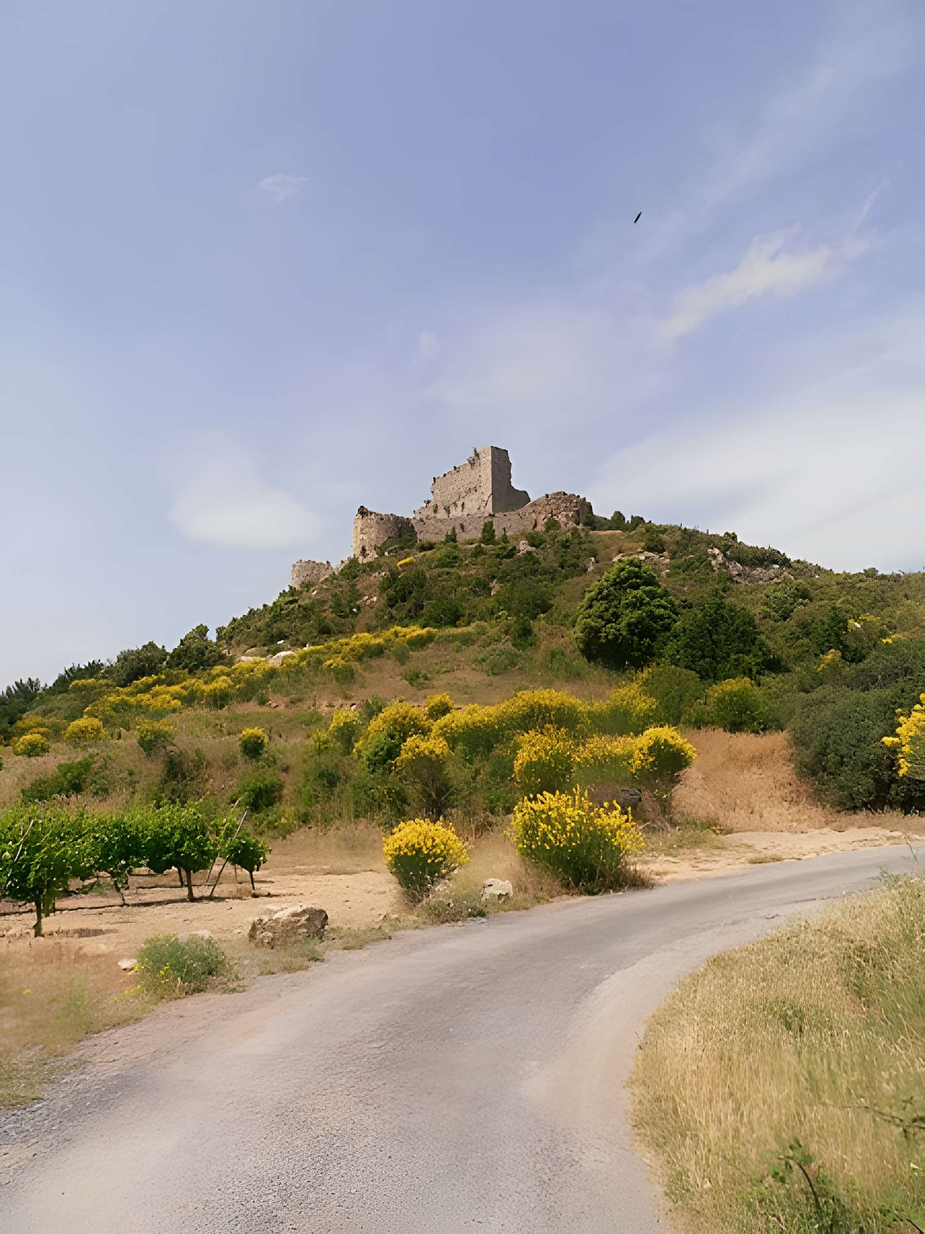 Ensemble des vestiges du château d'Aguilar