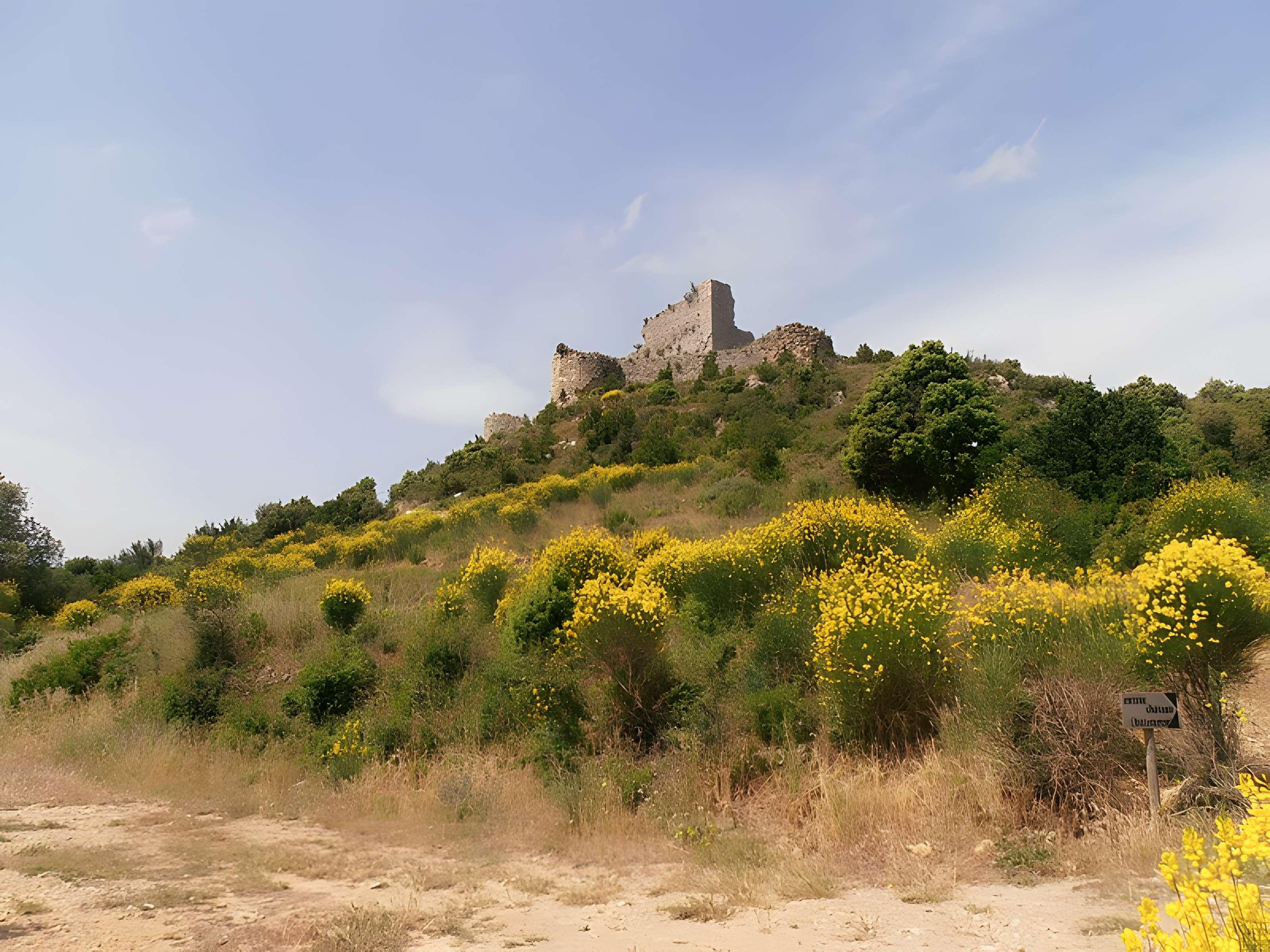 Ensemble des vestiges du château d'Aguilar