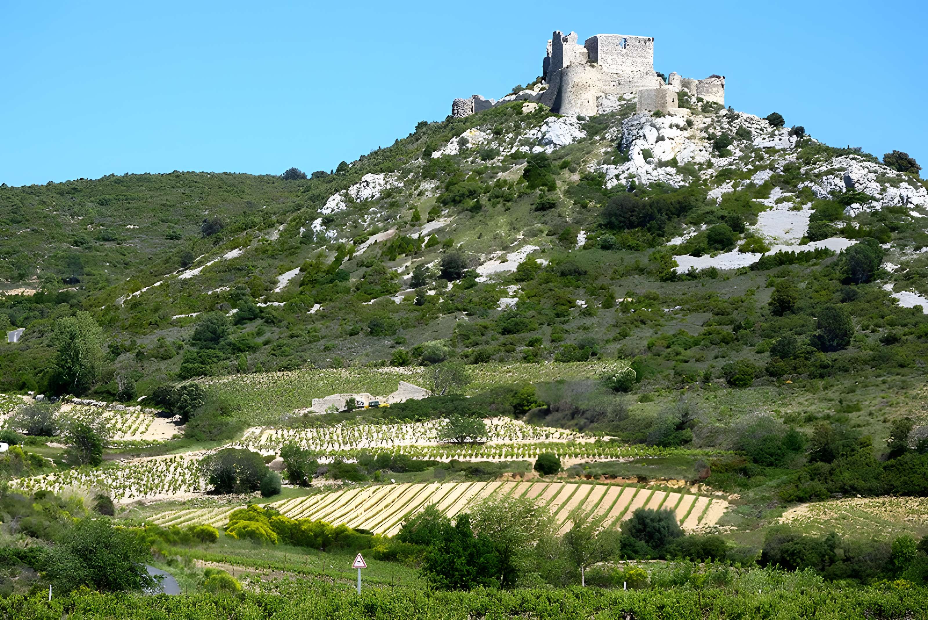 Ensemble des vestiges du château d'Aguilar