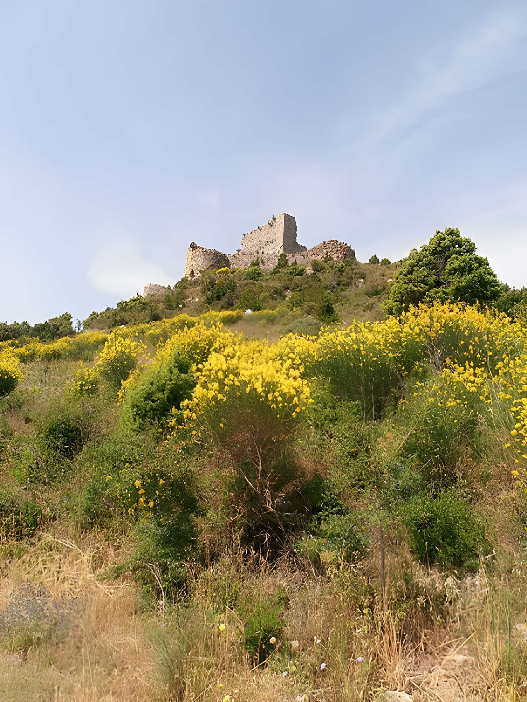 Ensemble des vestiges du château d'Aguilar