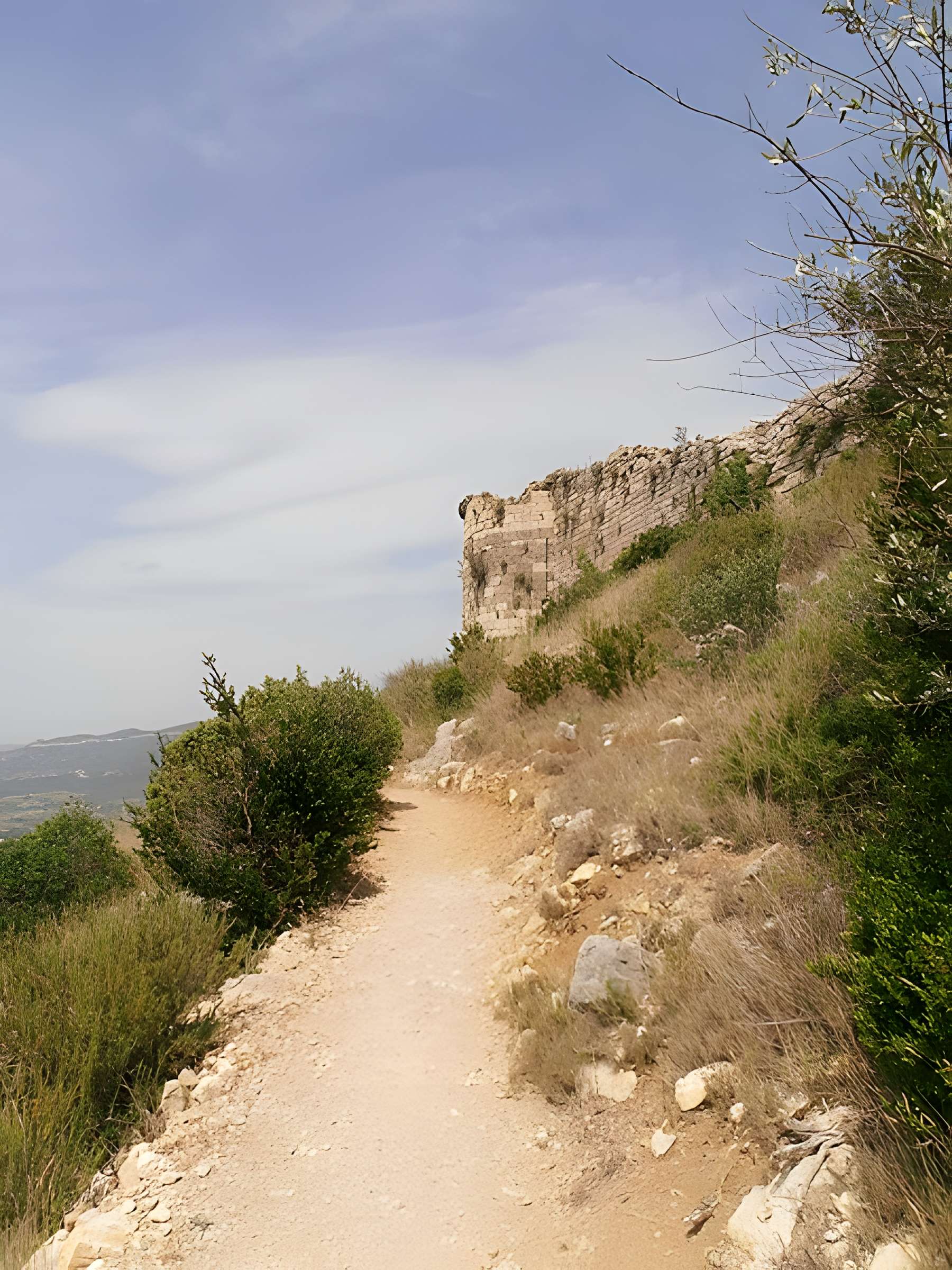 Ensemble des vestiges du château d'Aguilar