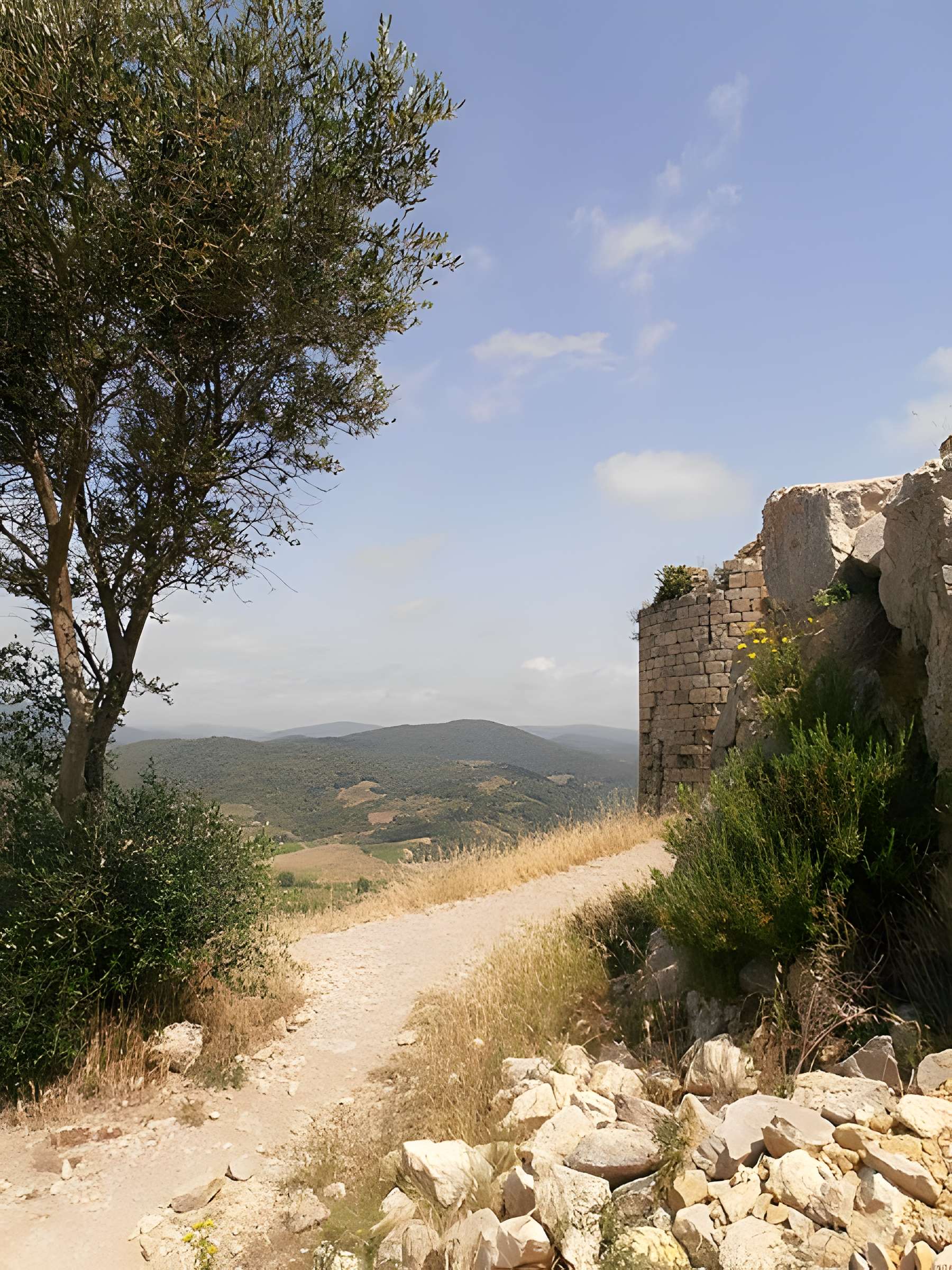 Ensemble des vestiges du château d'Aguilar