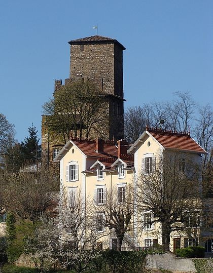 Photo de Château d'Albigny-sur-Saône