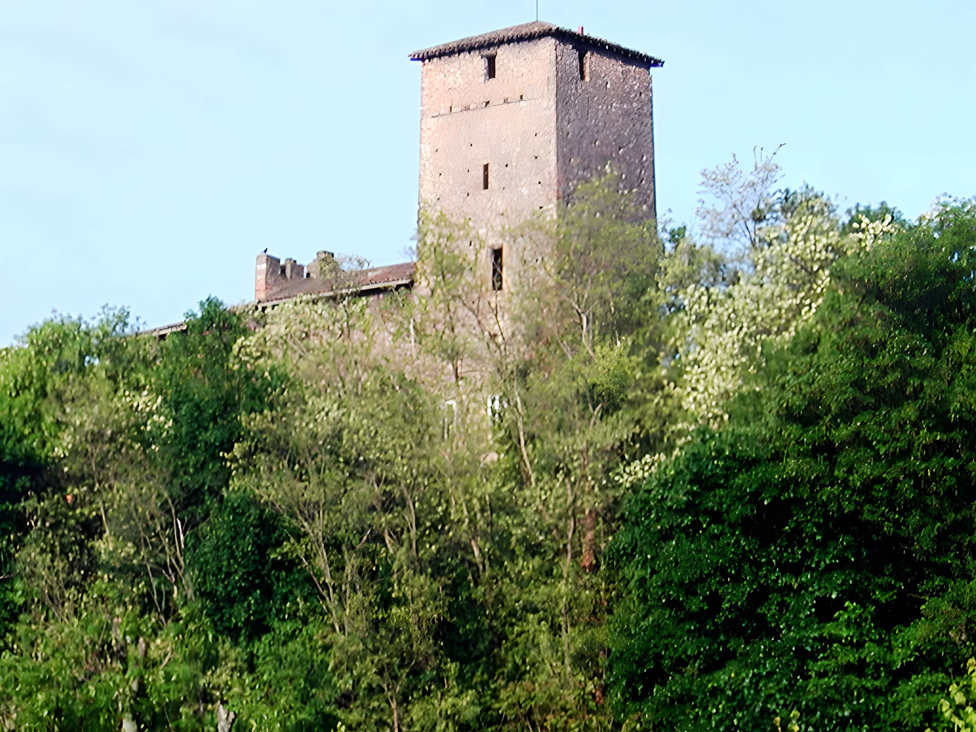 Château d'Albigny-sur-Saône